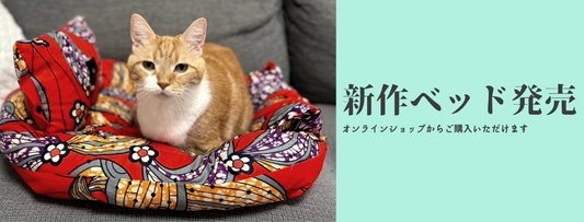 待望のペットベッド&クッションカバー本日発売!!