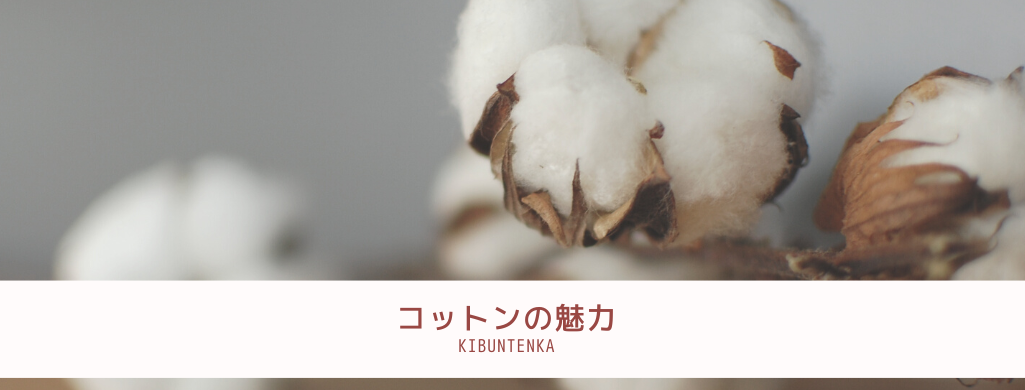 コットンってどうなの??生地の特徴をご紹介