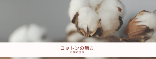 コットンってどうなの??生地の特徴をご紹介