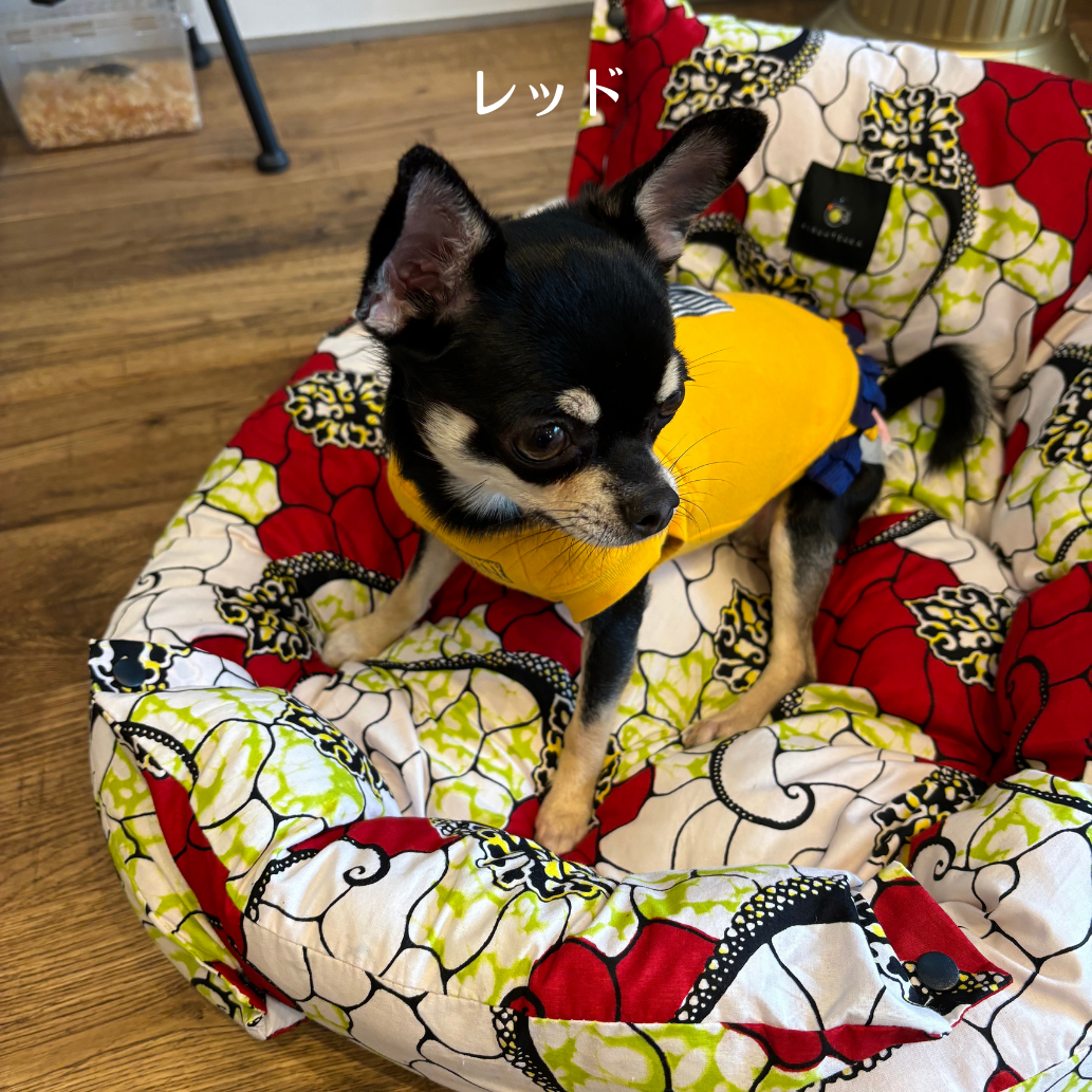 pet bed, pet cushion
