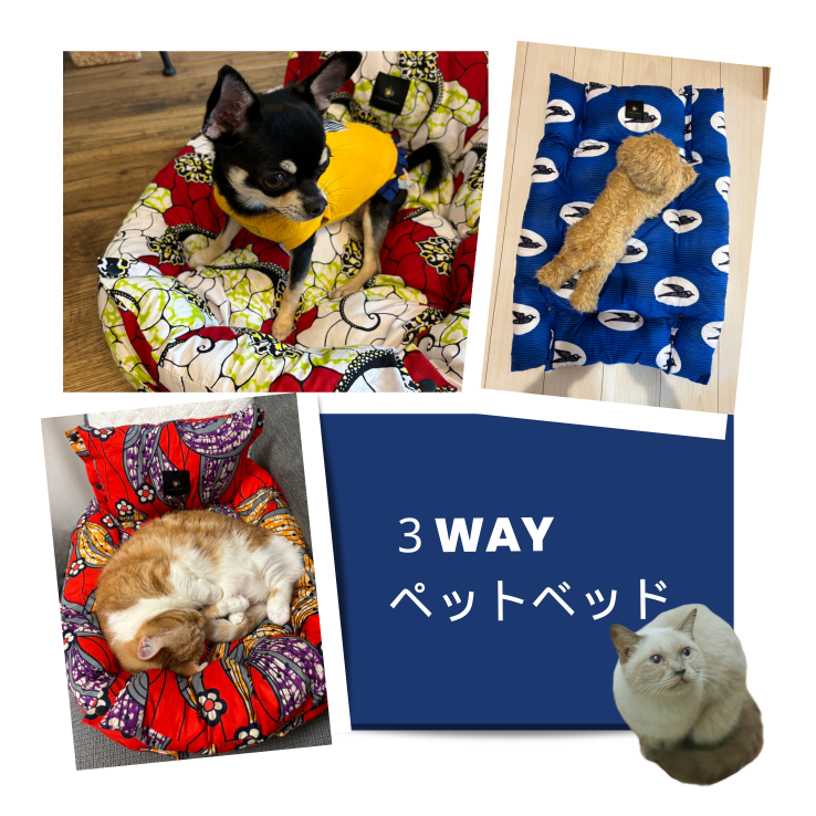 pet bed, pet cushion