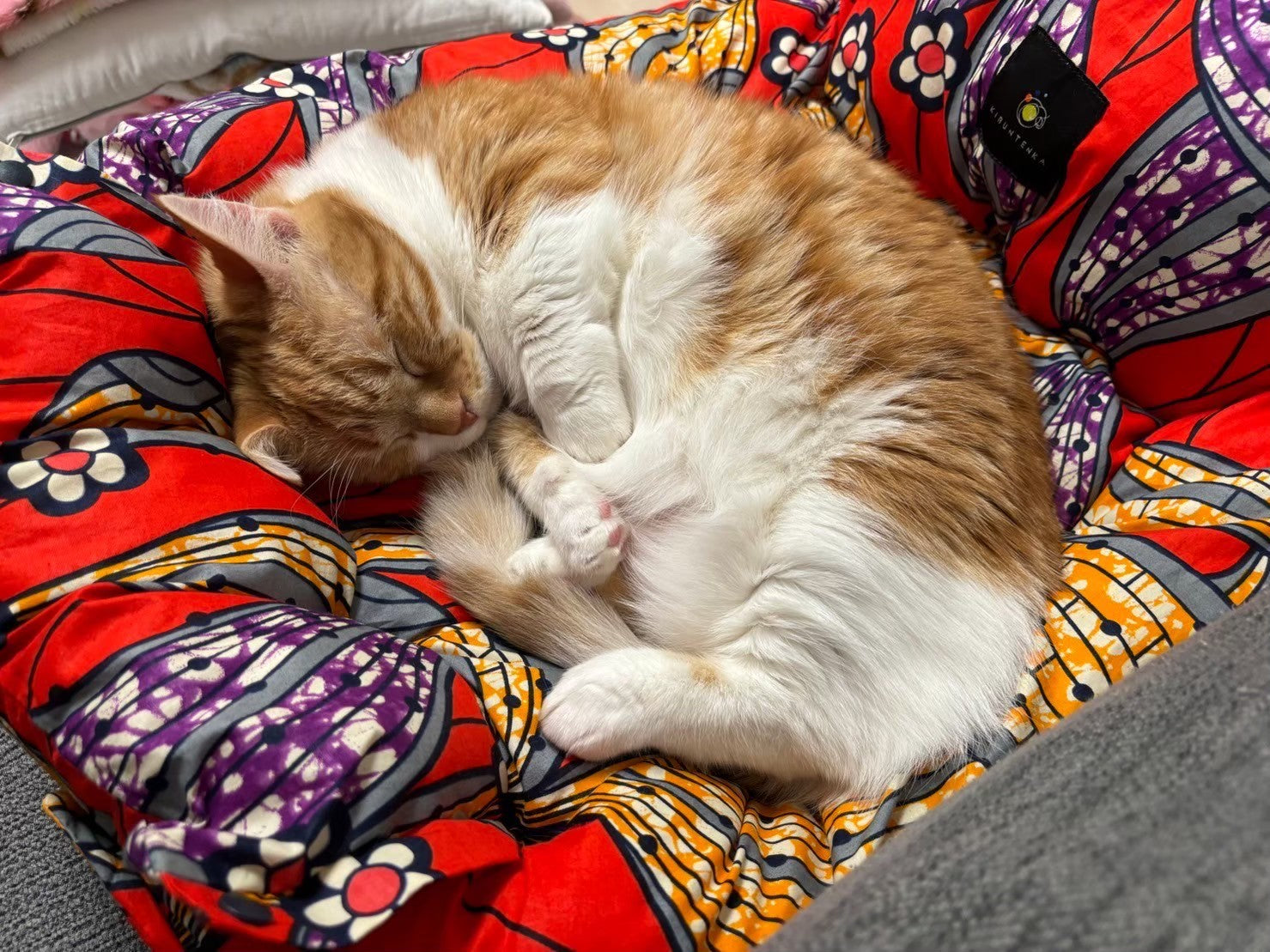 犬用スリング（抱っこ紐）をお求めならK+T(KIBUNTENKA PIACE)へ